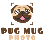 Pug Mug Photo Pet Photography in Ponte Vedra Beach logo
