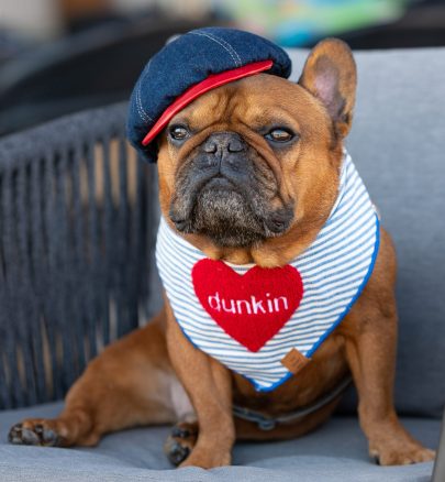 Frenchie Dunkin_CC26042