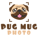 Pug Mug Photo Pet Photography in Ponte Vedra Beach logo